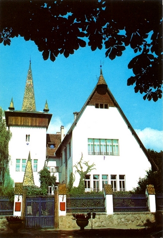 1286 - Sfantu Gheorghe. Muzeul
